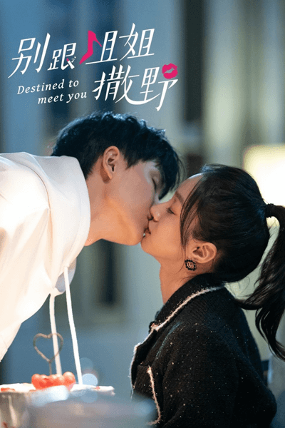 Destined to Meet You (2022) Episode 19