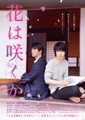 Does the Flower Bloom? (2018) Episode 1 English SUB